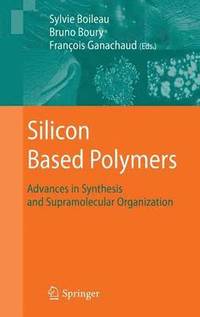 bokomslag Silicon Based Polymers