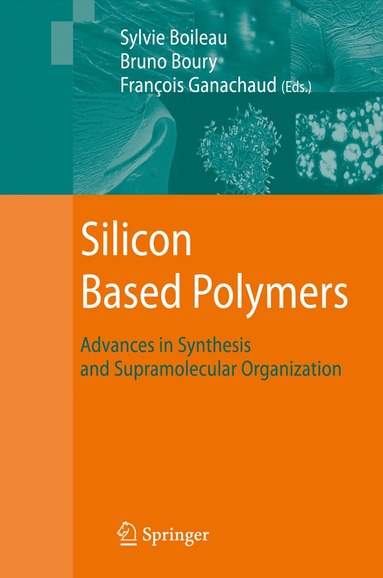 bokomslag Silicon Based Polymers