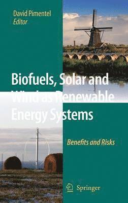 Biofuels, Solar and Wind as Renewable Energy Systems 1