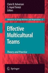 bokomslag Effective Multicultural Teams: Theory and Practice