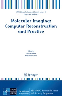 bokomslag Molecular Imaging: Computer Reconstruction and Practice