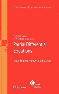 bokomslag Partial Differential Equations