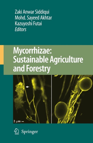 bokomslag Mycorrhizae: Sustainable Agriculture and Forestry