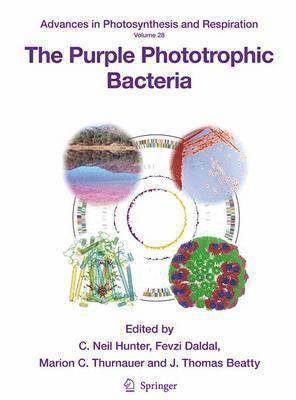 bokomslag The Purple Phototrophic Bacteria