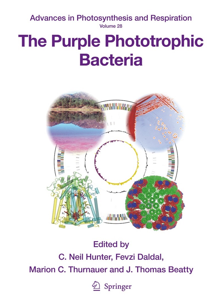 C.N. Hunter, Fevzi Daldal, Marion C. Thurnauer, J. Thomas Beatty, C. N. Hunter - Purple Phototrophic Bacteria, Inbunden