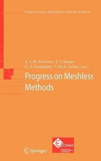 bokomslag Progress on Meshless Methods