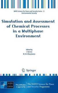 bokomslag Simulation and Assessment of Chemical Processes in a Multiphase Environment