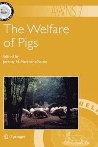 bokomslag The Welfare of Pigs