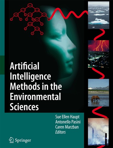 Sue Ellen Haupt, Antonello Pasini, Caren Marzban - Artificial Intelligence Methods in the Environmental Sciences, Inbunden