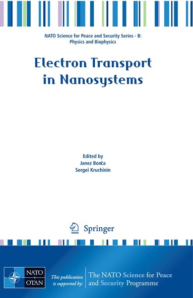 Janez Bonca, Sergei Kruchinin - Electron Transport in Nanosystems, Inbunden