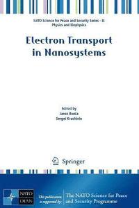 bokomslag Electron Transport in Nanosystems