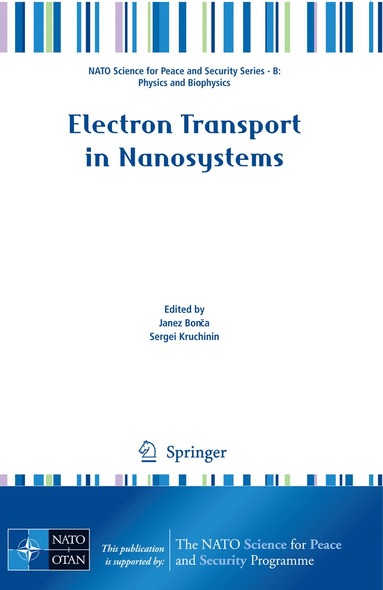 bokomslag Electron Transport in Nanosystems