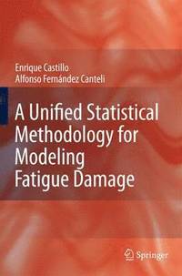 bokomslag A Unified Statistical Methodology for Modeling Fatigue Damage