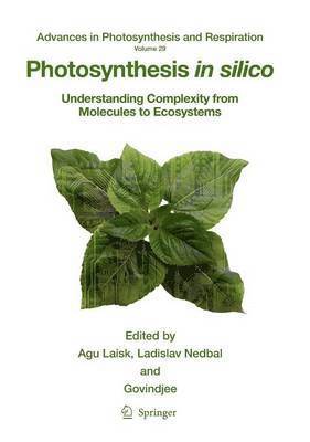 bokomslag Photosynthesis in silico