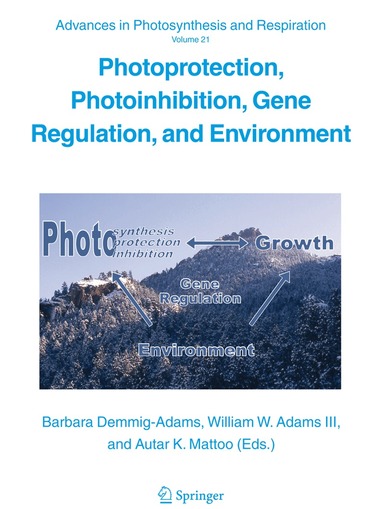 Barbara Demmig-Adams, William Adams, A. Mattoo - Photoprotection, Photoinhibition, Gene Regulation, and Environment, Häftad