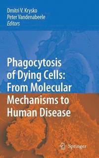 bokomslag Phagocytosis of Dying Cells