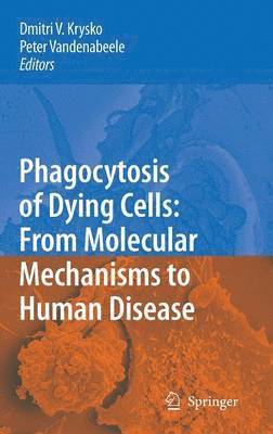 Phagocytosis of Dying Cells 1