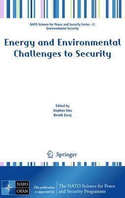 Energy and Environmental Challenges to Security 1