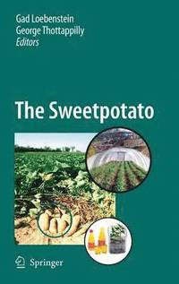 bokomslag The Sweetpotato