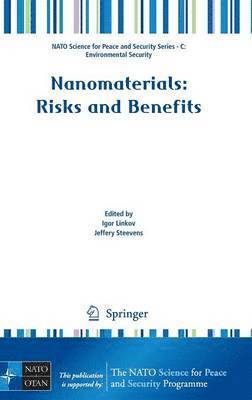 bokomslag Nanomaterials