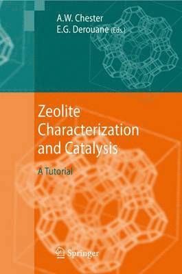 Arthur W. Chester, E.G. Derouane, E. G. Derouane, Arthur W Chester, E G Derouane - Zeolite Characterization and Catalysis, Inbunden