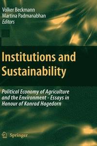 bokomslag Institutions and Sustainability