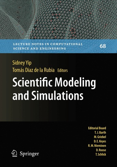 Sidney Yip, Tomas Diaz Rubia - Scientific Modeling and Simulations, Inbunden