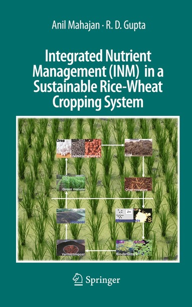 bokomslag Integrated Nutrient Management (INM) in a Sustainable Rice-Wheat Cropping System