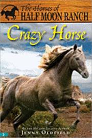 bokomslag Crazy Horse