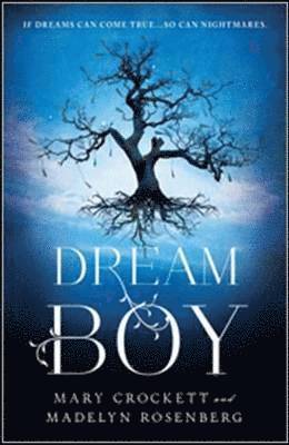 Madelyn Rosenberg, Mary Crockett - Dream Boy, Häftad