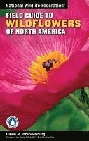 bokomslag National Wildlife Federation Field Guide to Wildflowers of North America