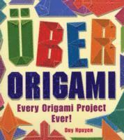 Uber Origami 1