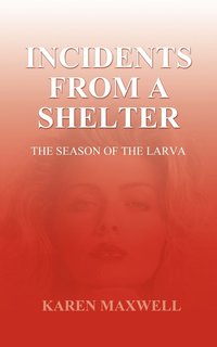 bokomslag Incidents from a Shelter