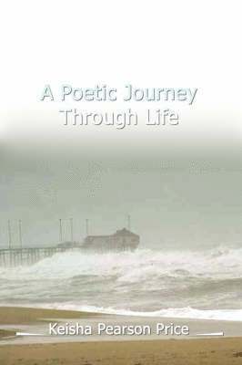 bokomslag Poetic Journey Through Life
