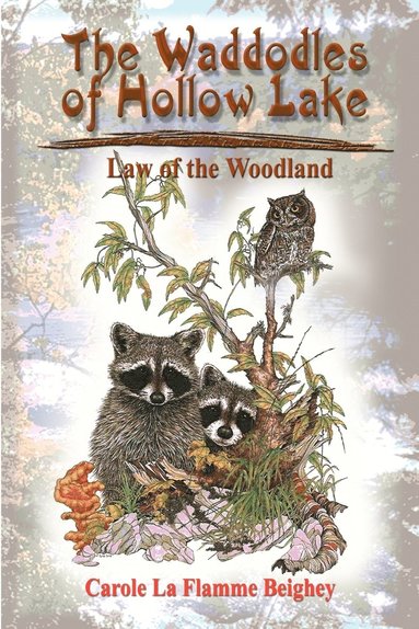 Carole La Flamme Beighey - Waddodles of Hollow Lake, Häftad