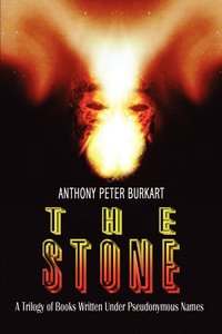 bokomslag The Stone