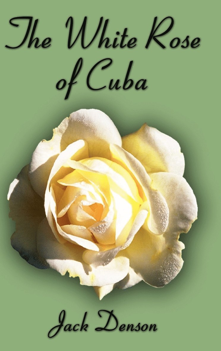 White Rose of Cuba