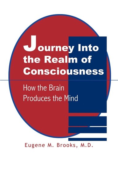 bokomslag Journey into the Realm of Consciousness