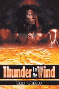bokomslag Thunder in the Wind