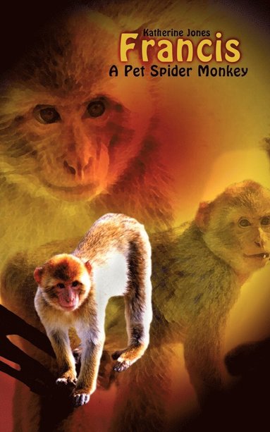 bokomslag Francis, a Pet Spider Monkey