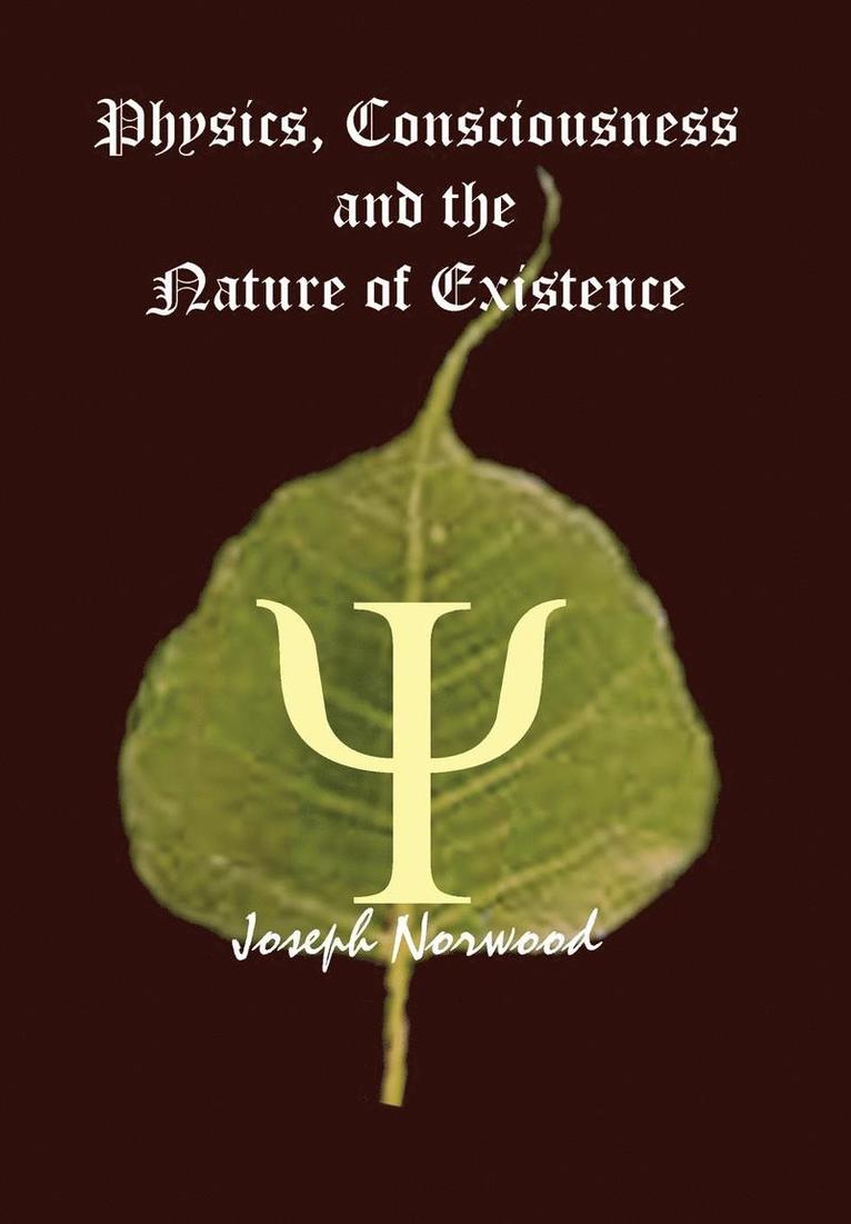 Joseph Norwood - Physics, Consciousness and the Nature of Existence, Inbunden