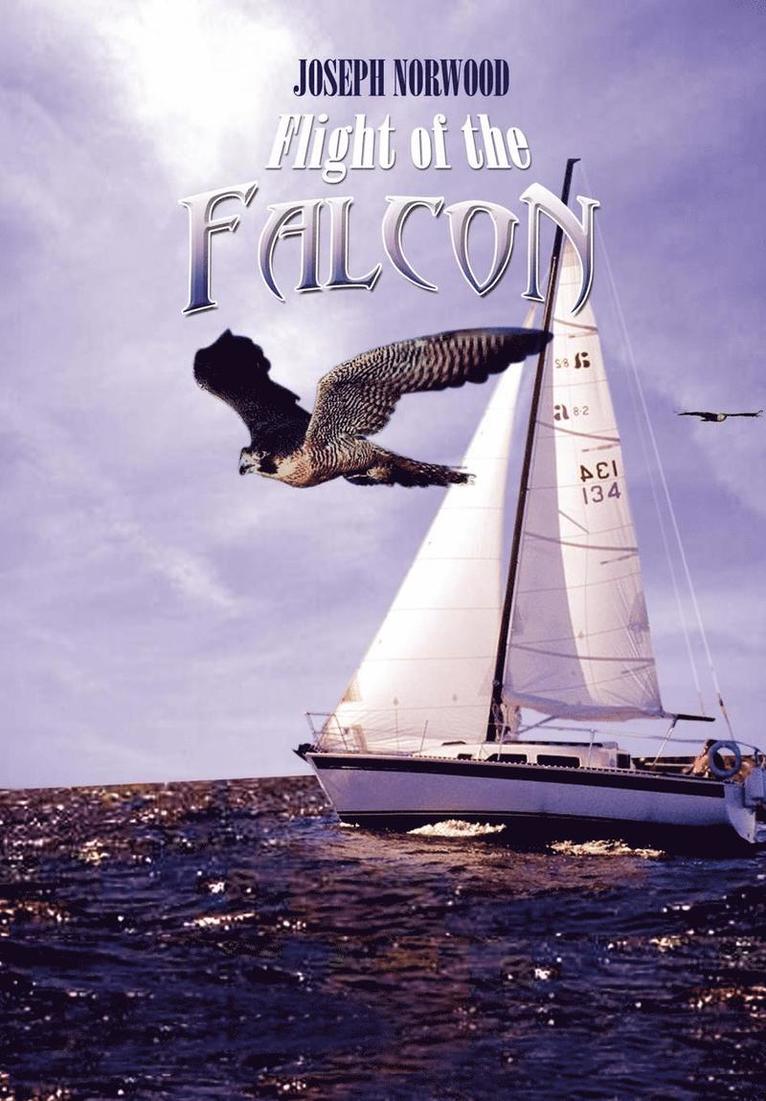 Flight of the Falcon 1