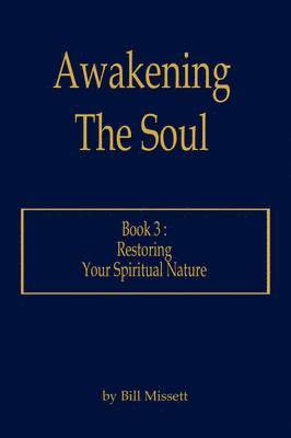 bokomslag Awakening the Soul: Bk. 3