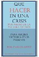 bokomslag Que Hacer En Una Crisis