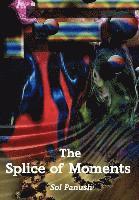 bokomslag Splice of Moments
