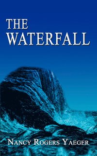 bokomslag The Waterfall