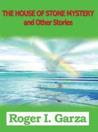 bokomslag House of Stone Mystery and Other Stories