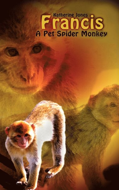 bokomslag Francis, a Pet Spider Monkey
