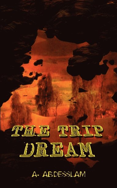 bokomslag Trip Dream