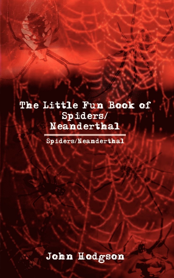 The Little Fun Book of Spiders/neanderthal 1
